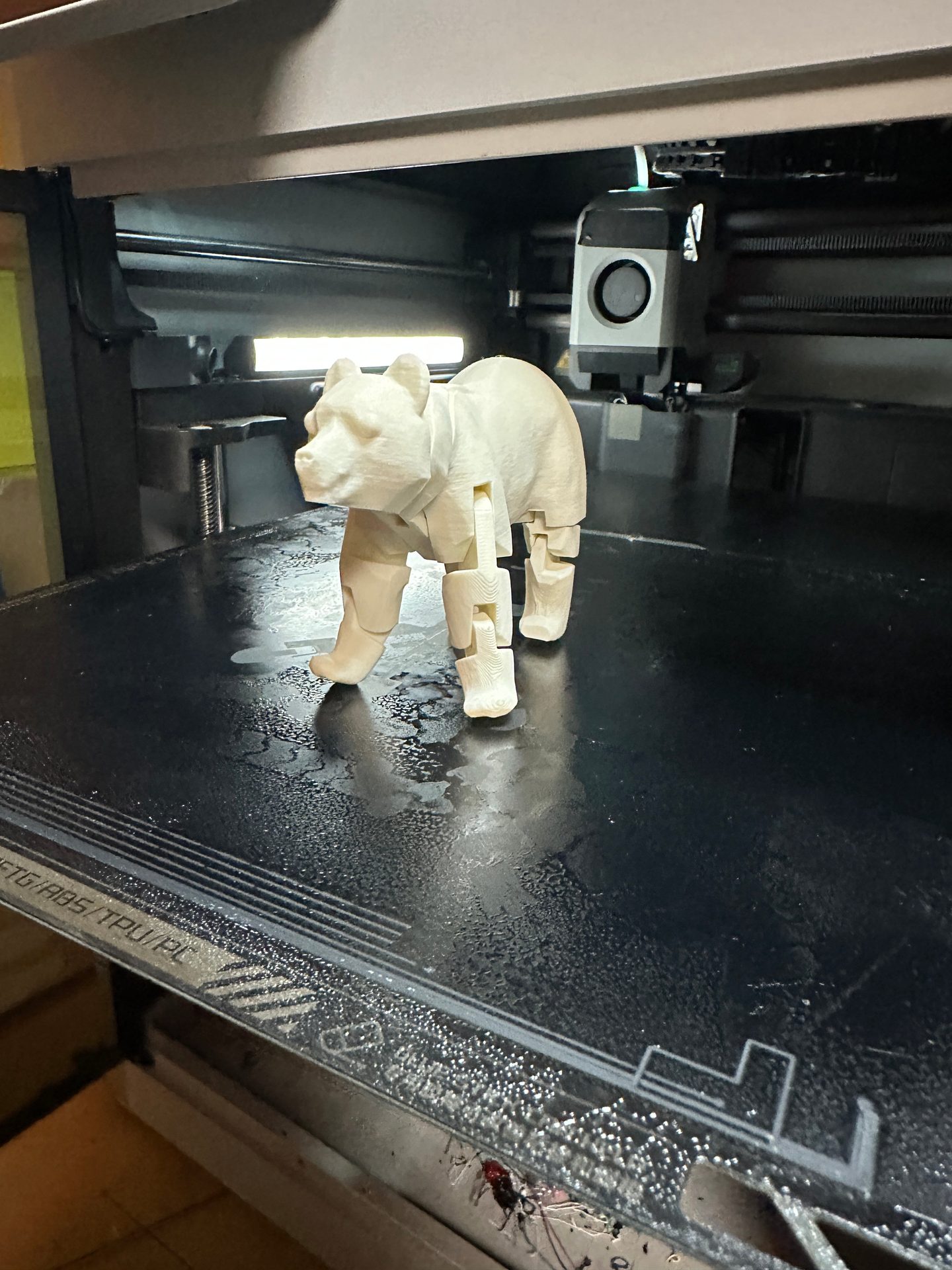 TAC3D live gallery 34