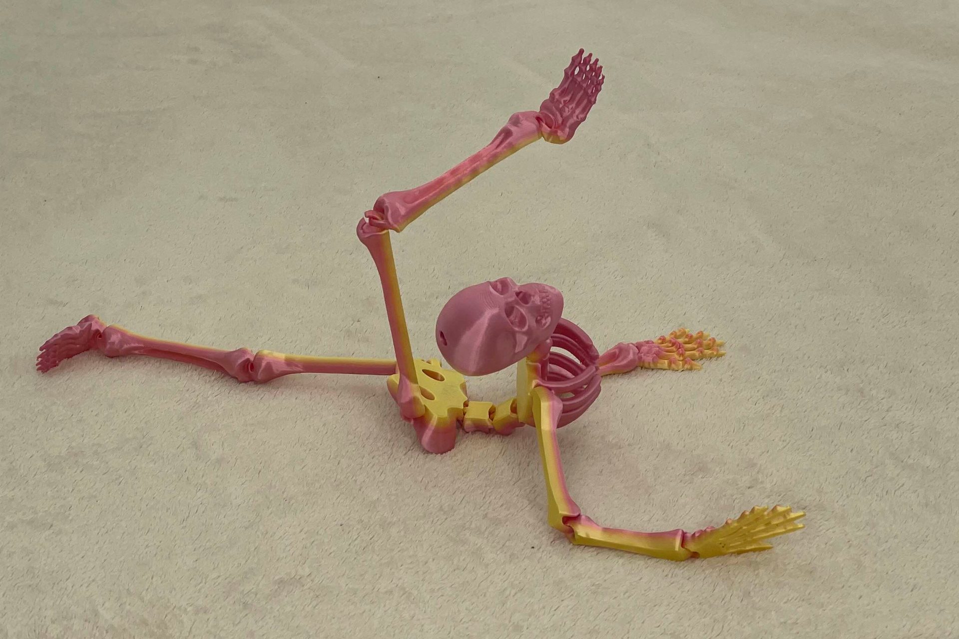 Articulated skeleton