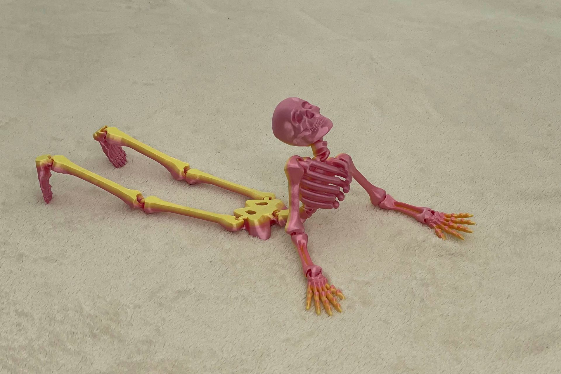 Articulated skeleton