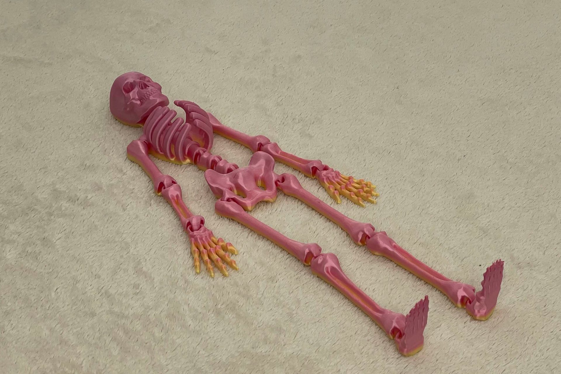 Articulated skeleton